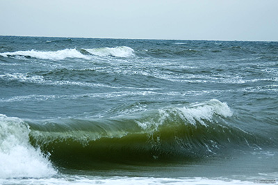 Storm on the beach